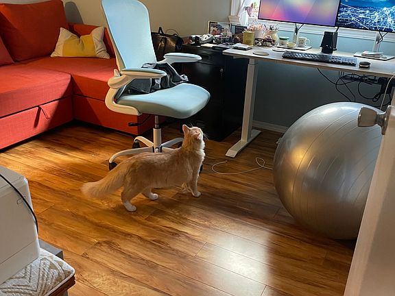 Bedroom/ office