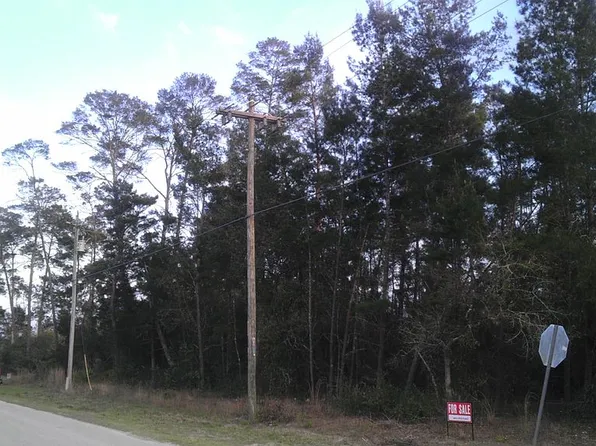Bougainvillia Ave, Paisley, FL 32767