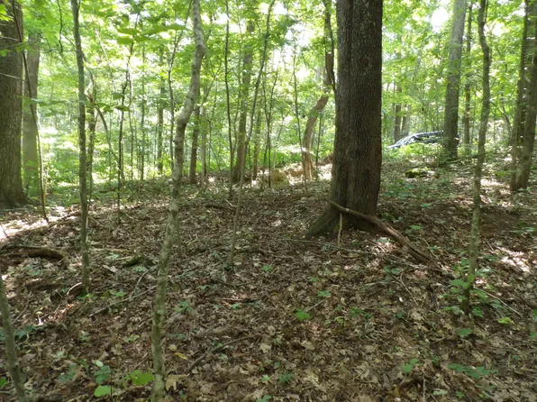 0 Cherokee Ridge Rd #19, Pikeville, TN 37367