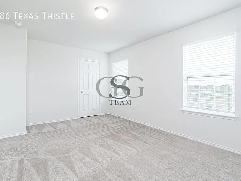 186 Texas Thistle — Photo 10