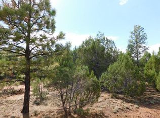 2556 Burton Ln, Overgaard, AZ 85933