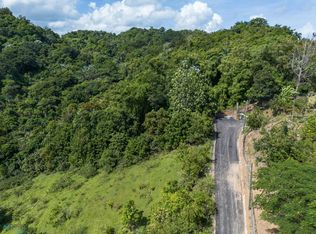 0 Los Guayabos #6, San Juan, PR 00926