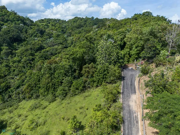 0 Los Guayabos #6, San Juan, PR 00926