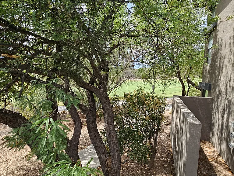 5855 N Kolb Rd #8207 — Photo 38
