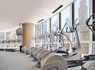 401 N Wabash Ave UNIT 36H, Chicago, IL 60611