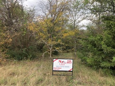 LOT 26 Chaperial Rd, Corsicana, TX, 75110