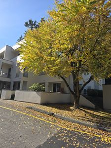 17001 Inglewood Rd NE #N101, Kenmore, WA, 98028