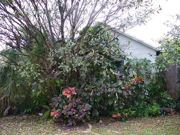 4th image of 5837 NW 19th Ave