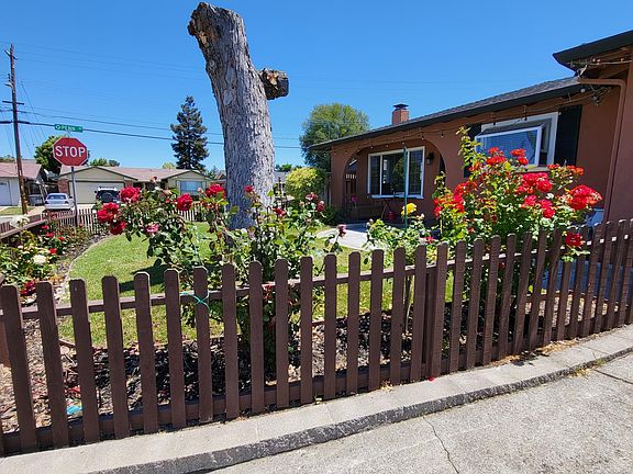 lots and lots of roses, flowers