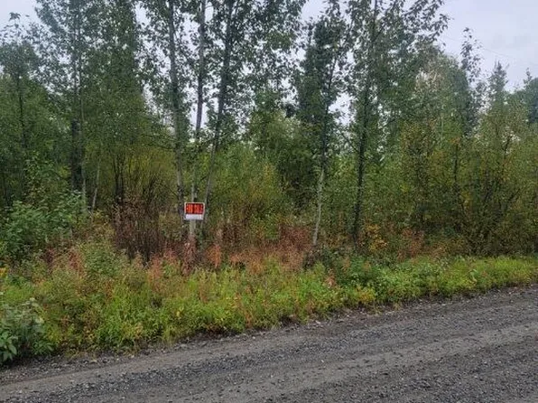 19530 Montana Creek Rd, Talkeetna, AK 99676