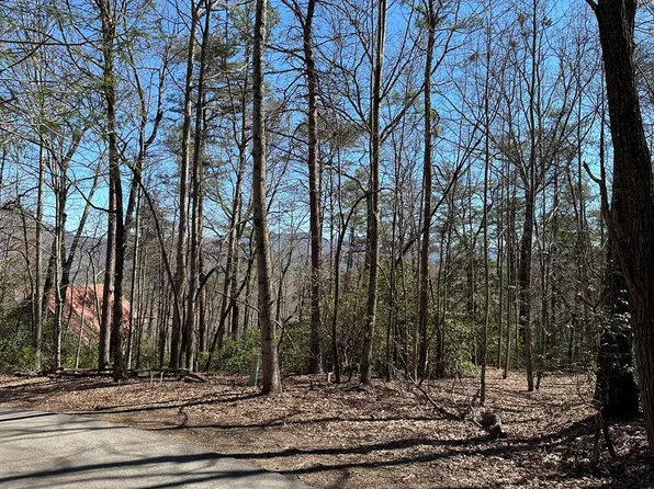 294 Broken Arrow Path, Blue Ridge, GA 30513