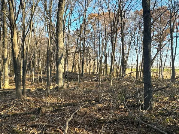 XX 5th Ave, Black Brook, WI 54005