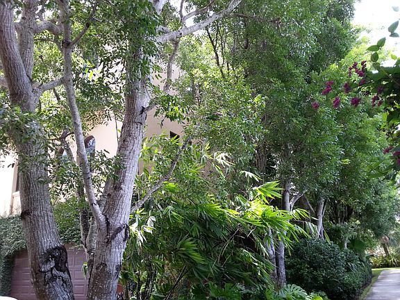 3rd image of 6235 Paradise Point Dr