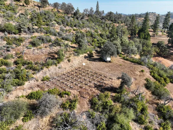 Canyon Creek Rd, Berry Creek, CA 95916