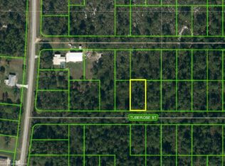 1410 Tuberose St, Lake Placid, FL 33852