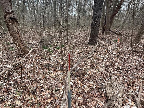 4th image of Georgetown Rd