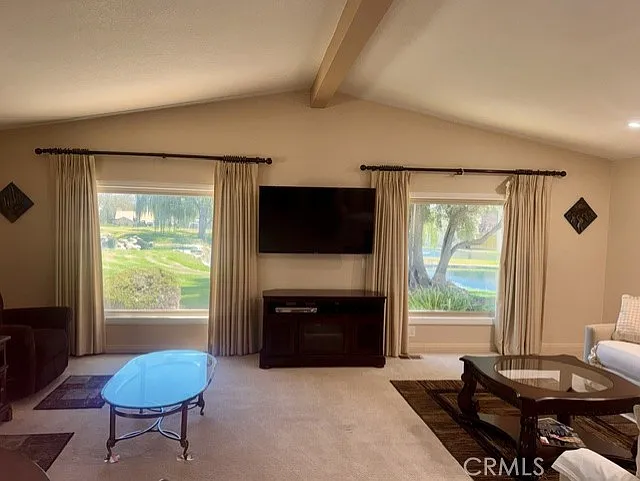 40913 Lincoln Pl — Photo 5