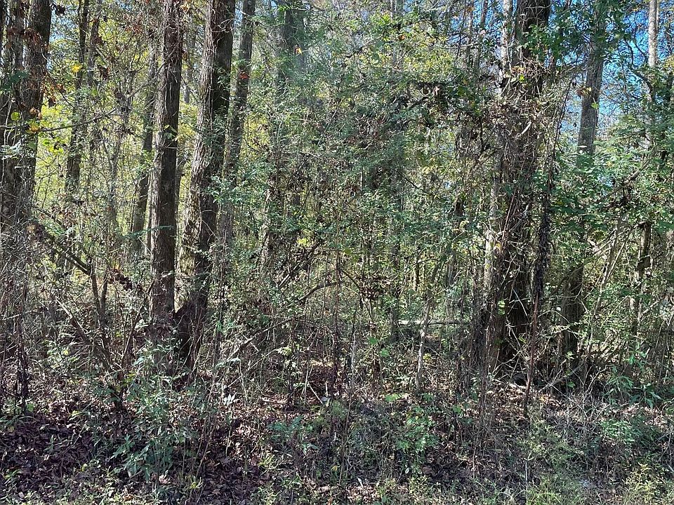 2nd image of Hearst Rd