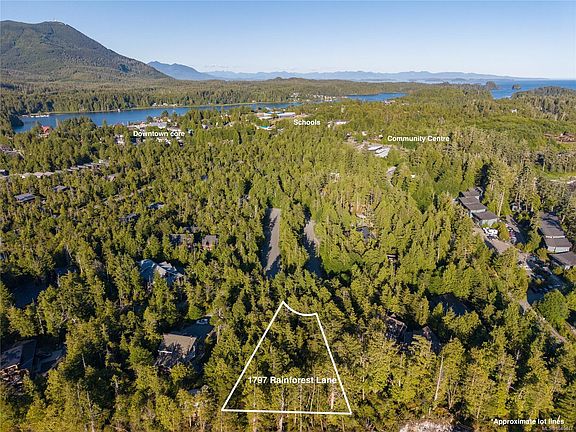 2nd image of 1797 Rainforest Ln