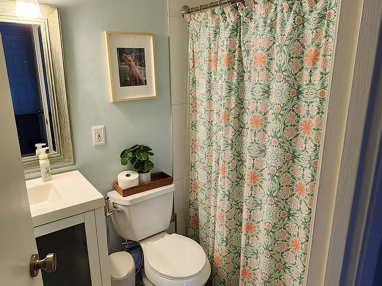 Hall bathroom