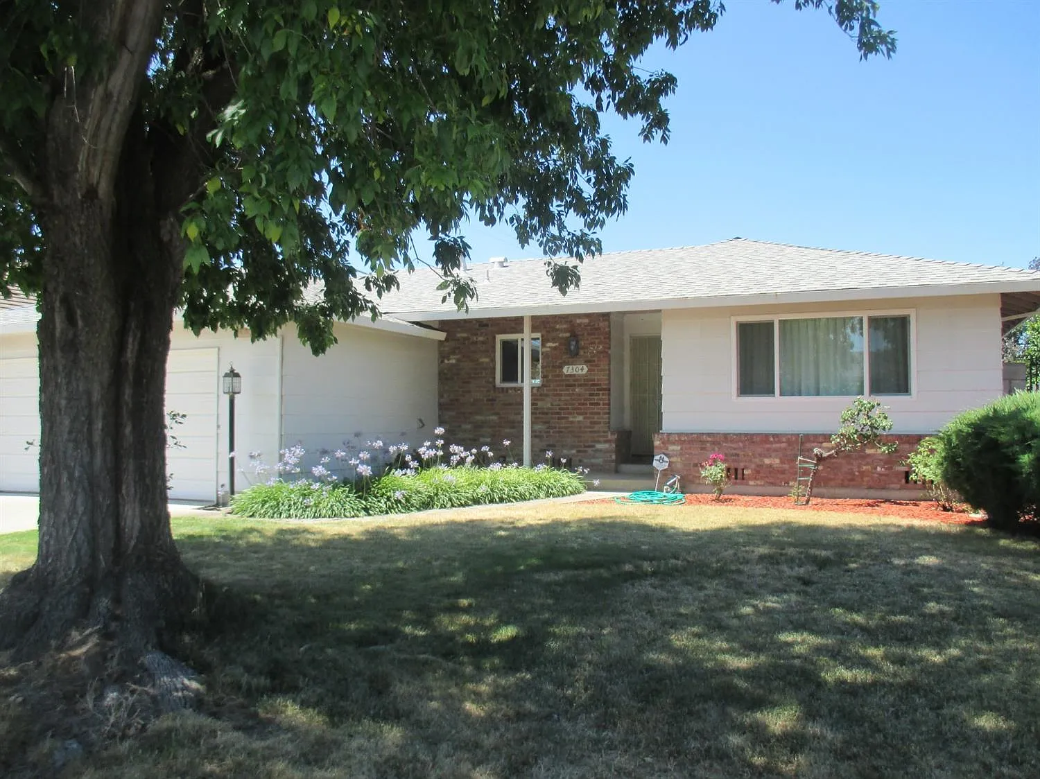 7304 Del Prado Way photo 1