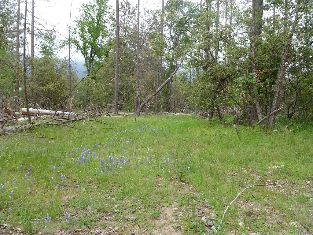 5683 Meadow Ln photo 1