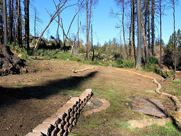 2nd image of 134 Cypress Tree Ln