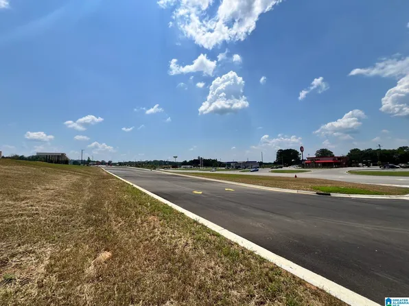 0 State Highway 77, Lincoln, AL 35096