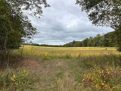 Melody St, Braham, MN, 55006
