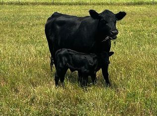 431 Arrowhead Rd, Waxahachie, TX 75167