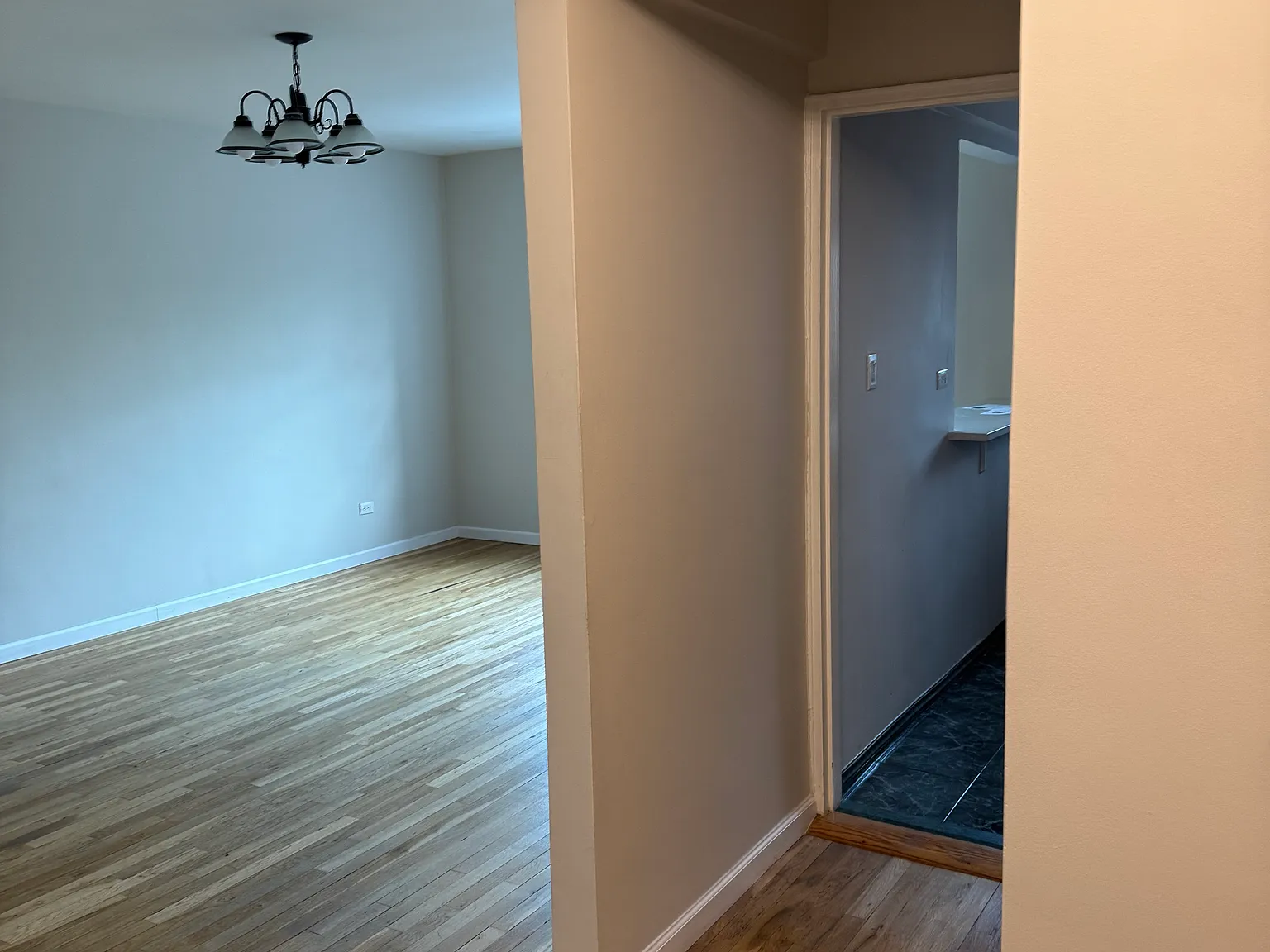 Studio, 550 sqft, $1,700 — Photo 2