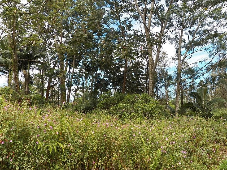 2nd image of Silversword Ct Lot 16