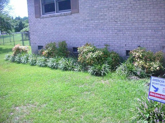 Mature beautiful Landscaping