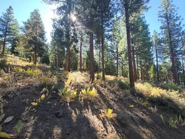 47 Blue Flax Ln, Portola, CA 96122