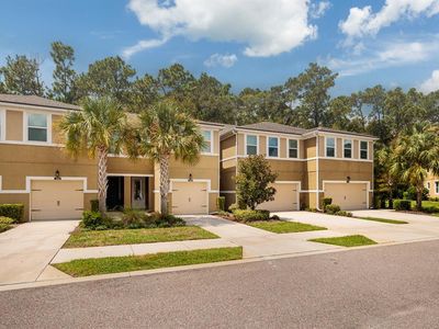 17860 Althea Blue Pl, Lutz, FL, 33558