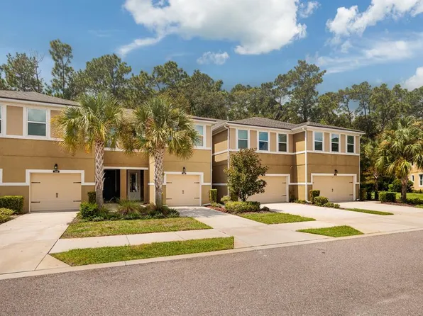 17860 Althea Blue Pl, Lutz, FL 33558