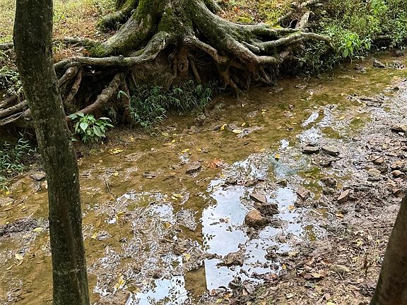 2nd image of 3595 Lecta Kino Rd