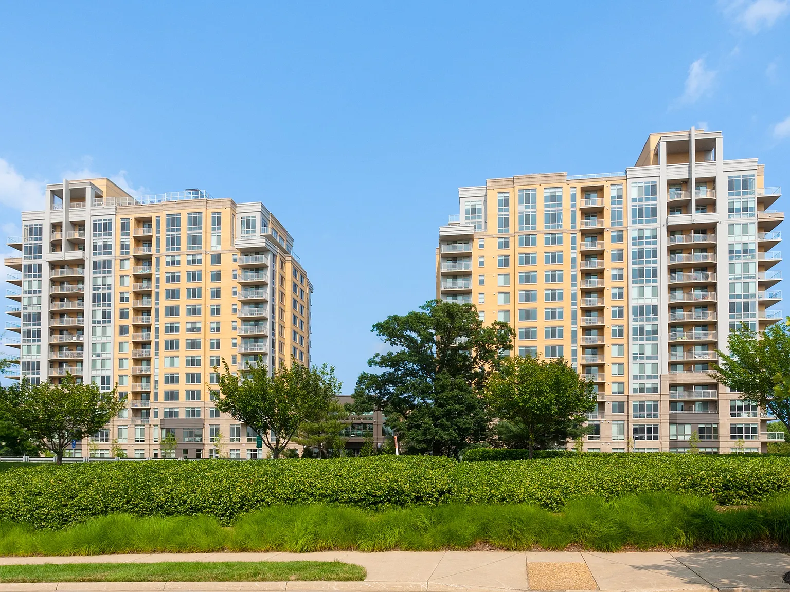 Harrison at Reston Town Center — Photo 3