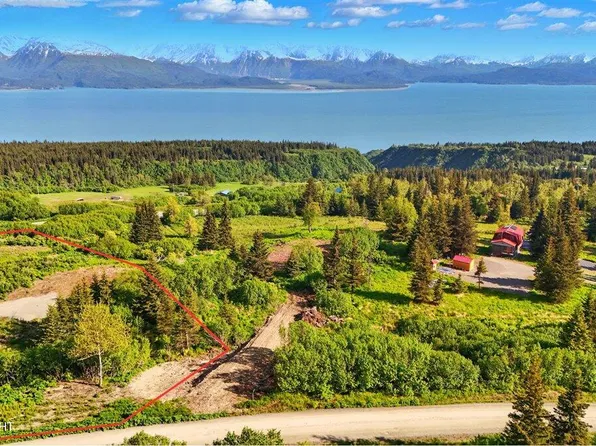 L2 Hutler Rd, Homer, AK 99603