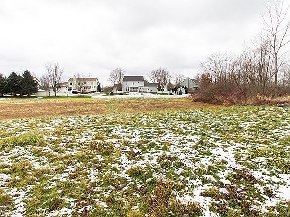 5th image of Blue Spruce Ct