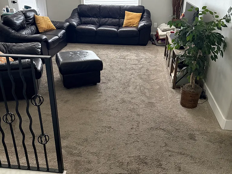 55 E Spring Creek Pkwy — Photo 5