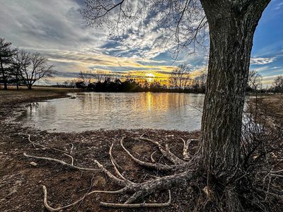 Tbd N Farm Rd 249, Strafford, MO, 65757