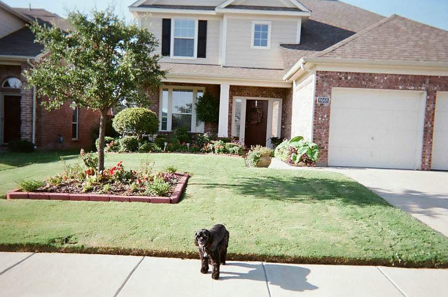 Front of house - Dog not included