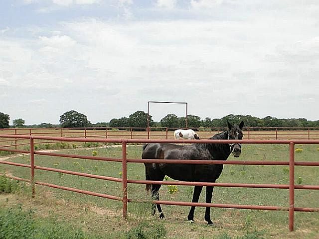 1st image of 18046 County Road 4057