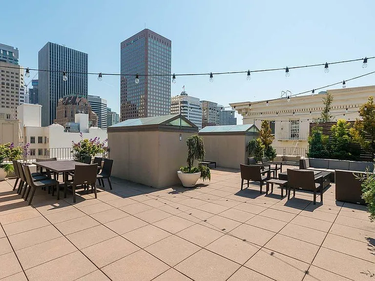 Stunning rooftop patio and garden with tivoli lights