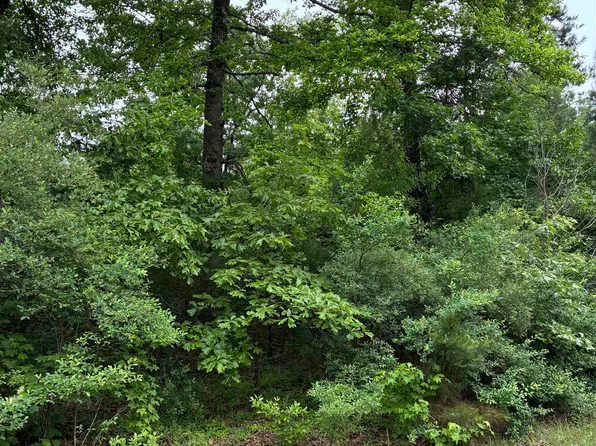 538 Eagle Bluff Loop Lot 538, Avinger, TX 75630