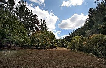 Meadow :: 5700 Dry Creek Road