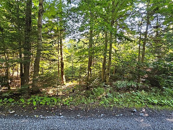 2nd image of 0 Rowsam Rd Lot 1