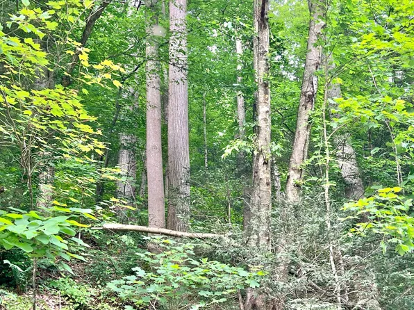 0 Highway 4, Clay, WV 25043