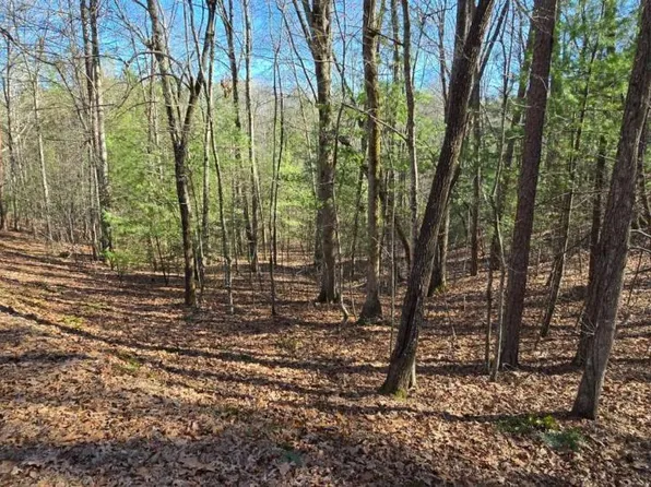 12 Oak Loop, Mineral Bluff, GA 30559